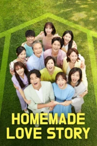 Homemade Love Story S01 ( Episode 1 – 15 Added ) | Korean Series